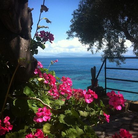 Villa Fourtuna Apartment Agios Ioannis Peristeron  Luaran gambar