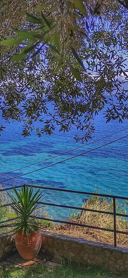 Villa Fourtuna Apartment Agios Ioannis Peristeron  Luaran gambar