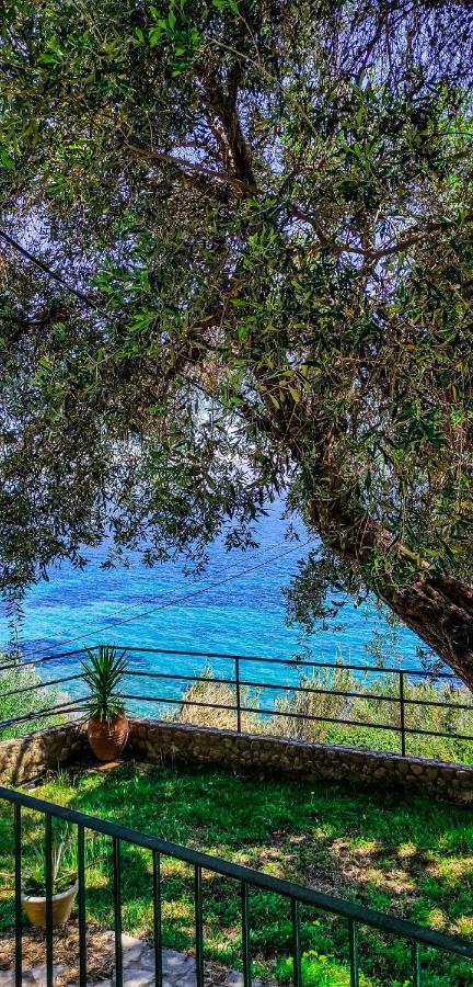 Villa Fourtuna Apartment Agios Ioannis Peristeron  Luaran gambar