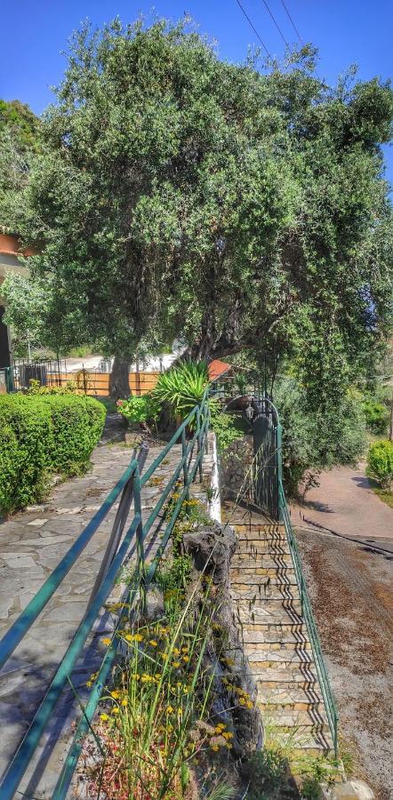 Villa Fourtuna Apartment Agios Ioannis Peristeron  Luaran gambar