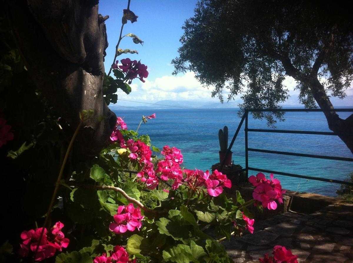 Villa Fourtuna Apartment Agios Ioannis Peristeron  Luaran gambar