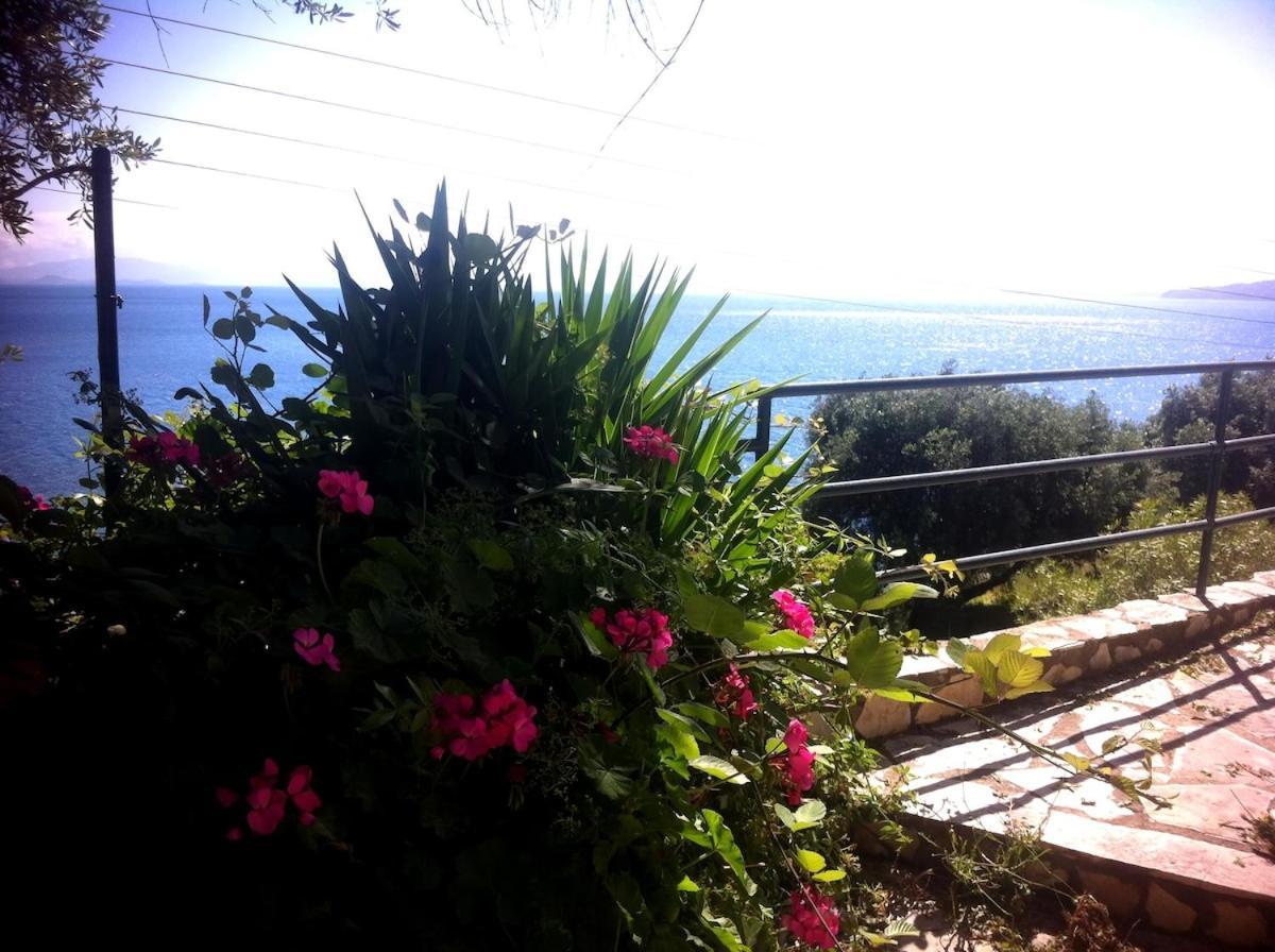 Villa Fourtuna Apartment Agios Ioannis Peristeron  Luaran gambar