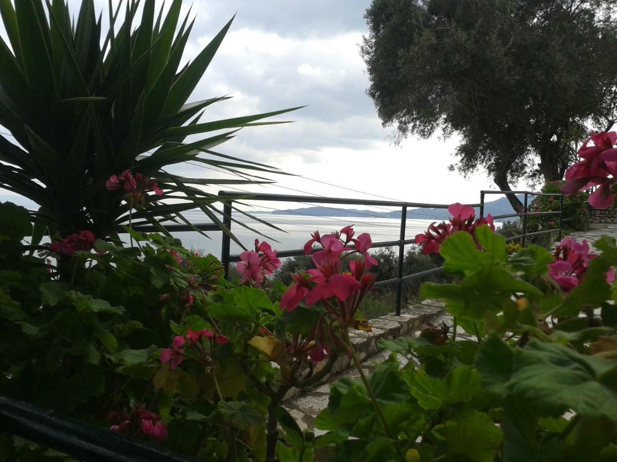 Villa Fourtuna Apartment Agios Ioannis Peristeron  Luaran gambar