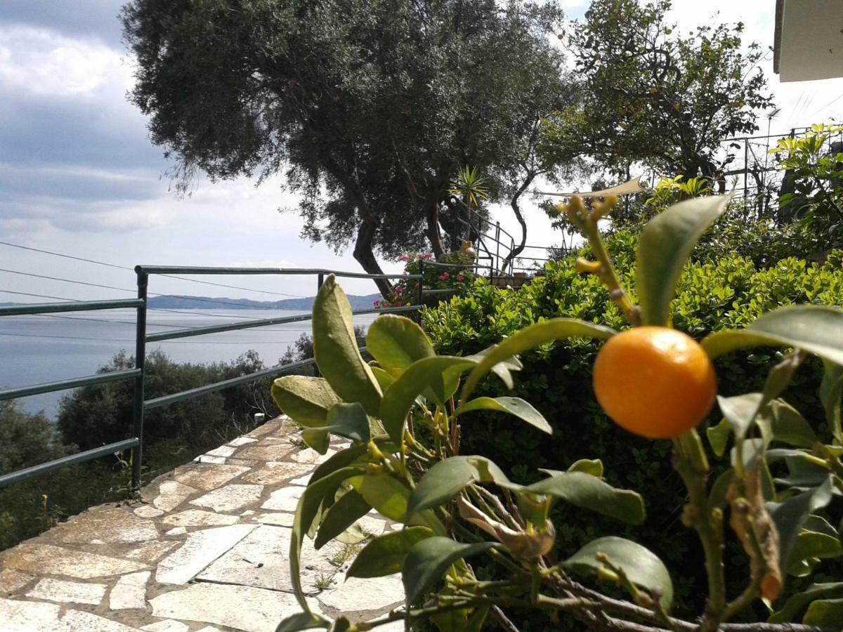 Villa Fourtuna Apartment Agios Ioannis Peristeron  Luaran gambar