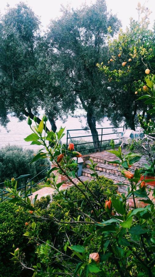 Villa Fourtuna Apartment Agios Ioannis Peristeron  Luaran gambar